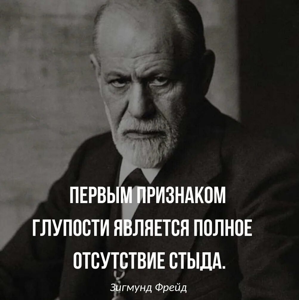 В смысле глупая. Цитаты про глупых людей. Высказывания о глупых людях. Цитаты про глупость. Цитаты о глупости и тупости.