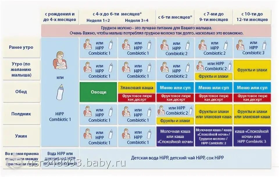 Сколько раз кормить в 7 месяцев