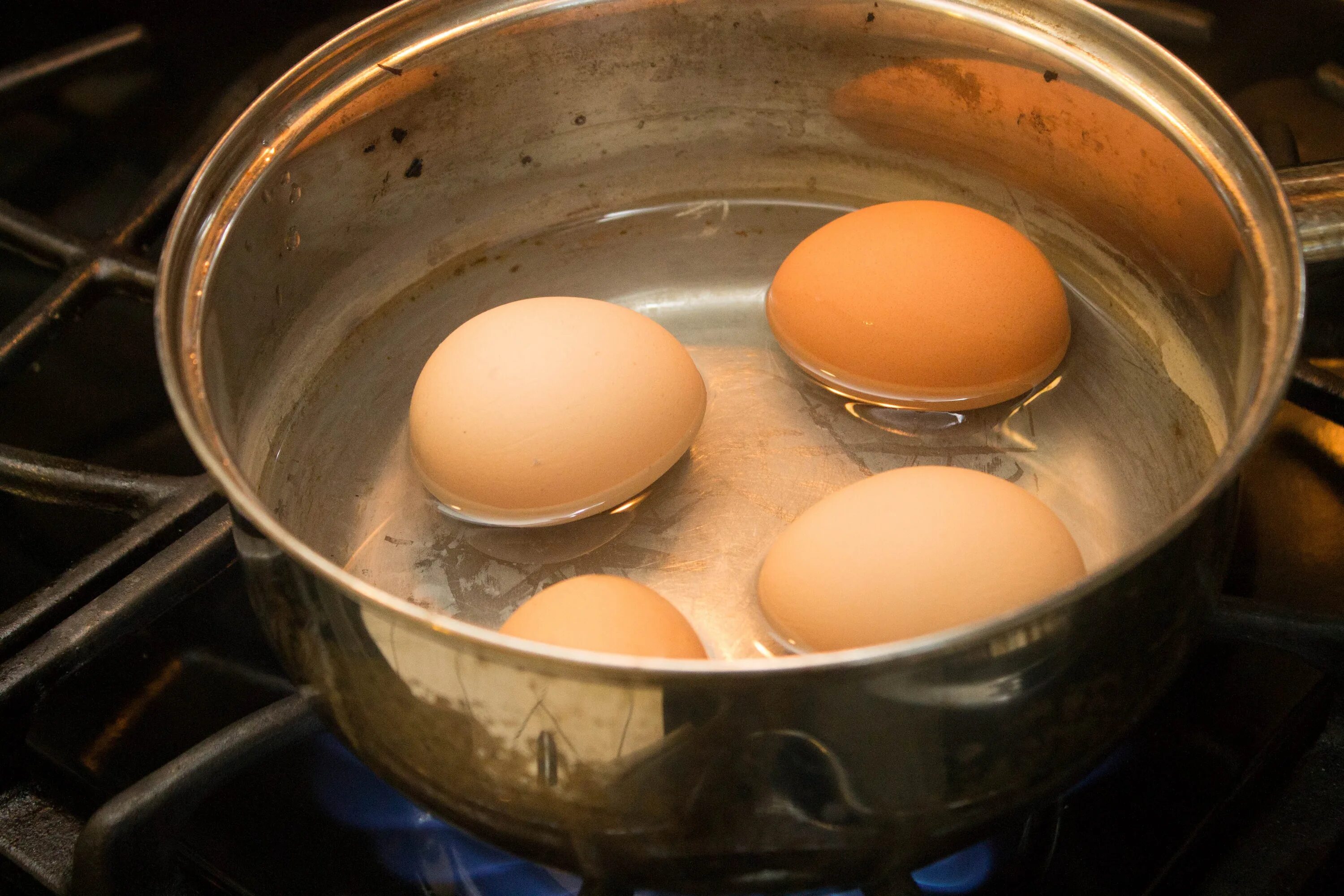 Eggs как пользоваться