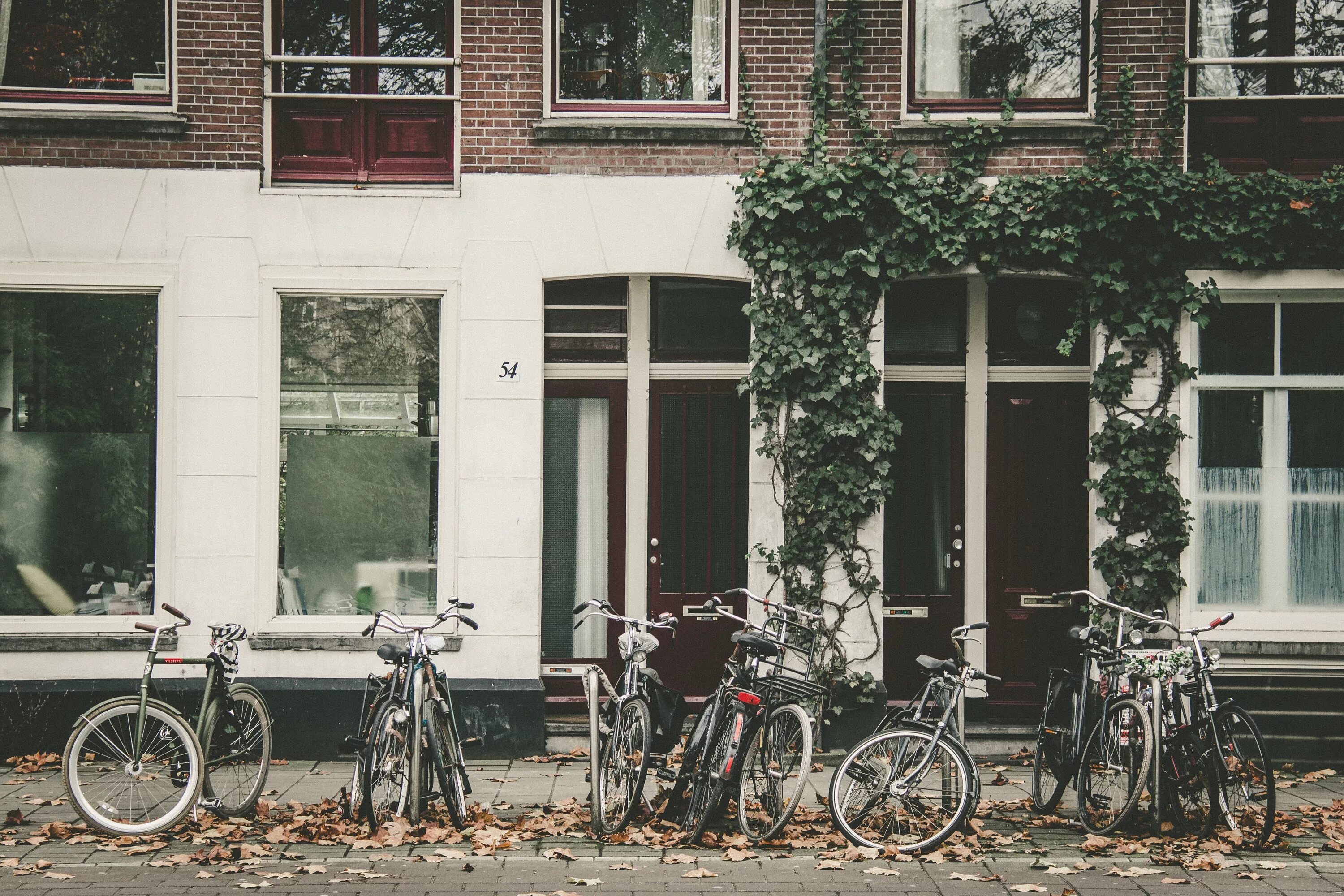 Streets windows