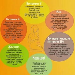 #286 post - БИБЛИОТЕКА МАМЫ КАНАЛ (@MOMS_LIBRARY_INFO)