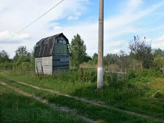 Ревякино ленинградская область. Ревякино тула. Ревякино ленинградская область. Ревякино деревня ивановская область. Погода ревякино на 14.