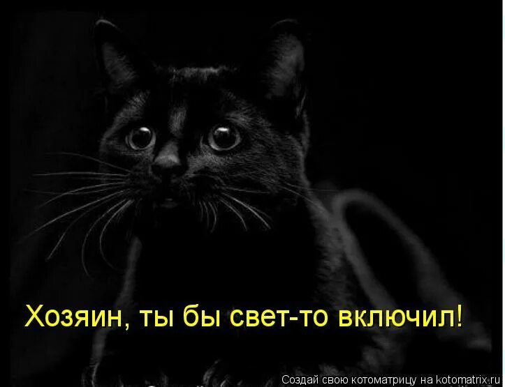 шутки про лунтика. мем включили свет. выключить свет. включить свет включить свет. энергосбережение датчики движения.