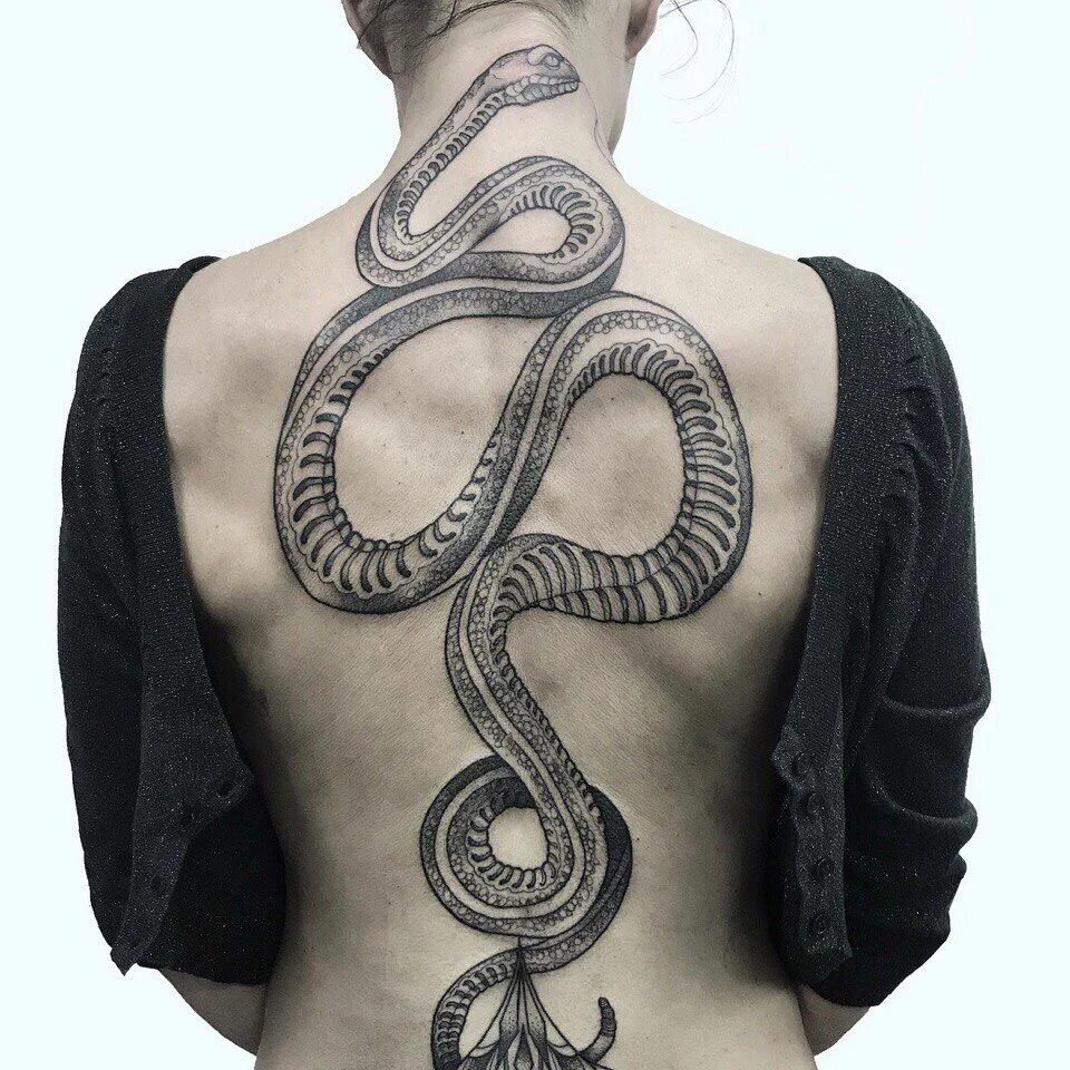 Snake back