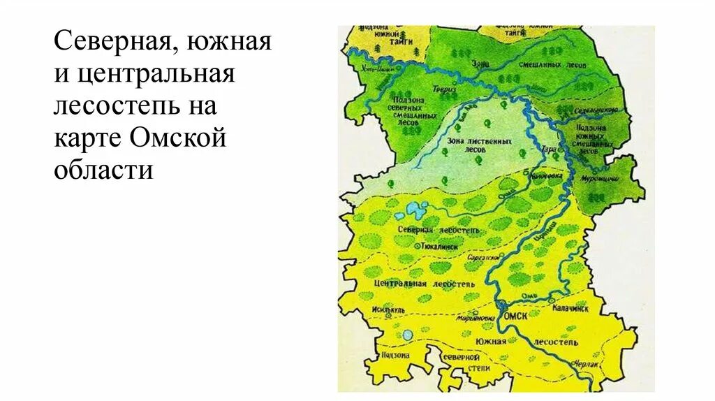 Природные зоны Омской области. Природная зона Омской области 4 класс. Карта Омской области. Физическая карта Омской области.