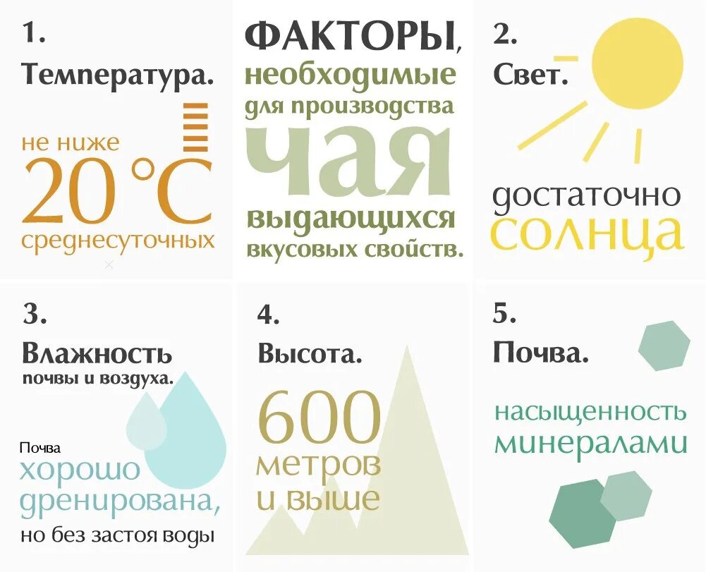 Страны производства чая. Основные страны производители чая. Чай на карте России. Крупнейшие производители чая