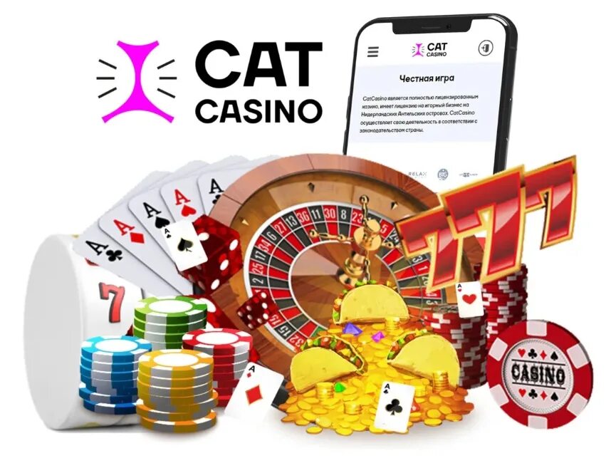 Cat casino играть кэтказиногоум фан. Кэт казино. Казино PNG.