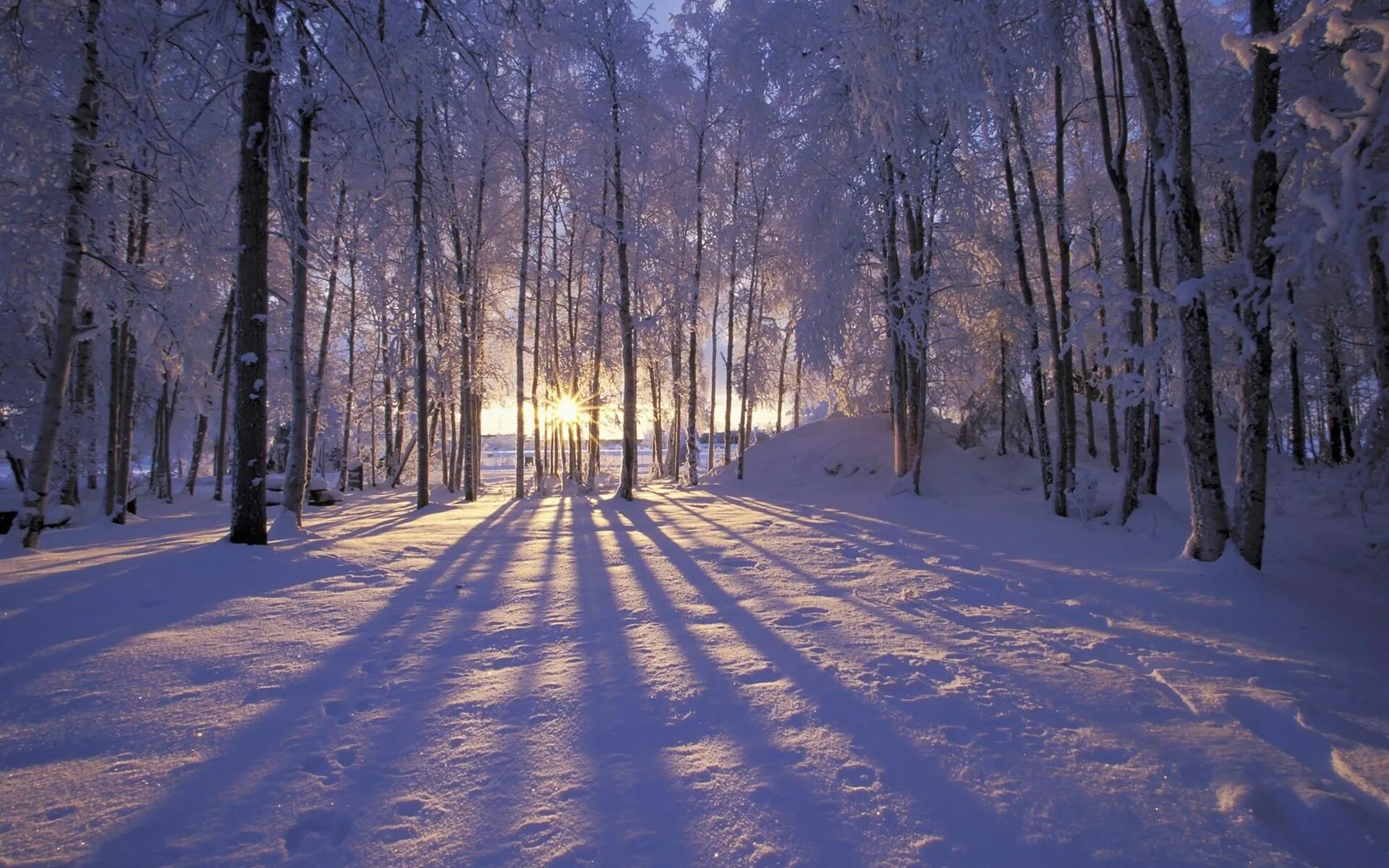 Фонограмма зимы