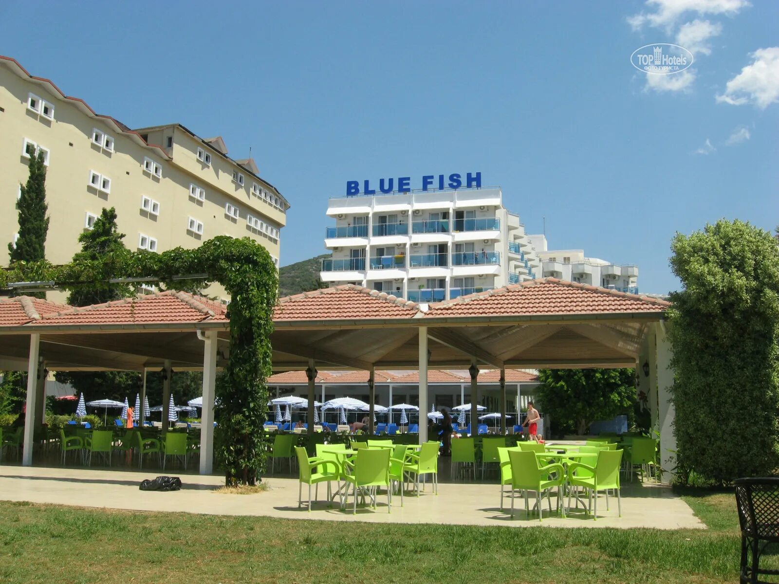 Блю фиш турция аланья. Blue Fish Hotel 4. Блю Фиш отель Турция. Blue Fish отель пляж. Blue Fish Hotel, 4 звезды.