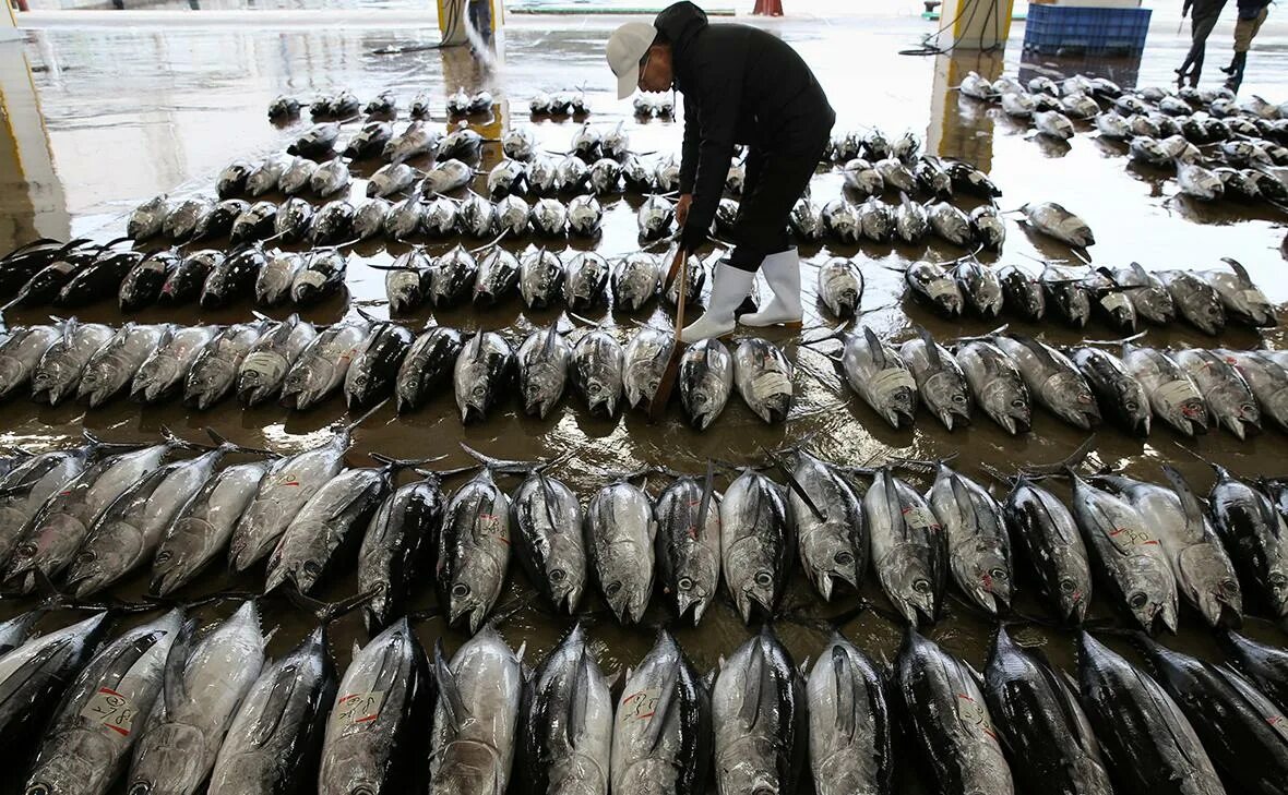 Рыба на прилавке. Рыба синоним. Рыбная продукция. Таможенная служба китая. Ввоз рыбы.