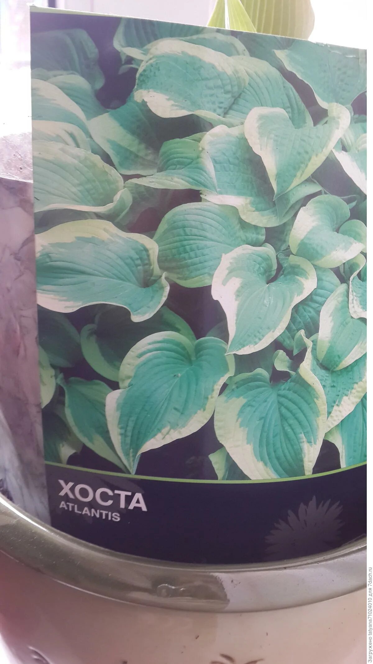 Нет ответа от хоста. Нет ответа от хоста