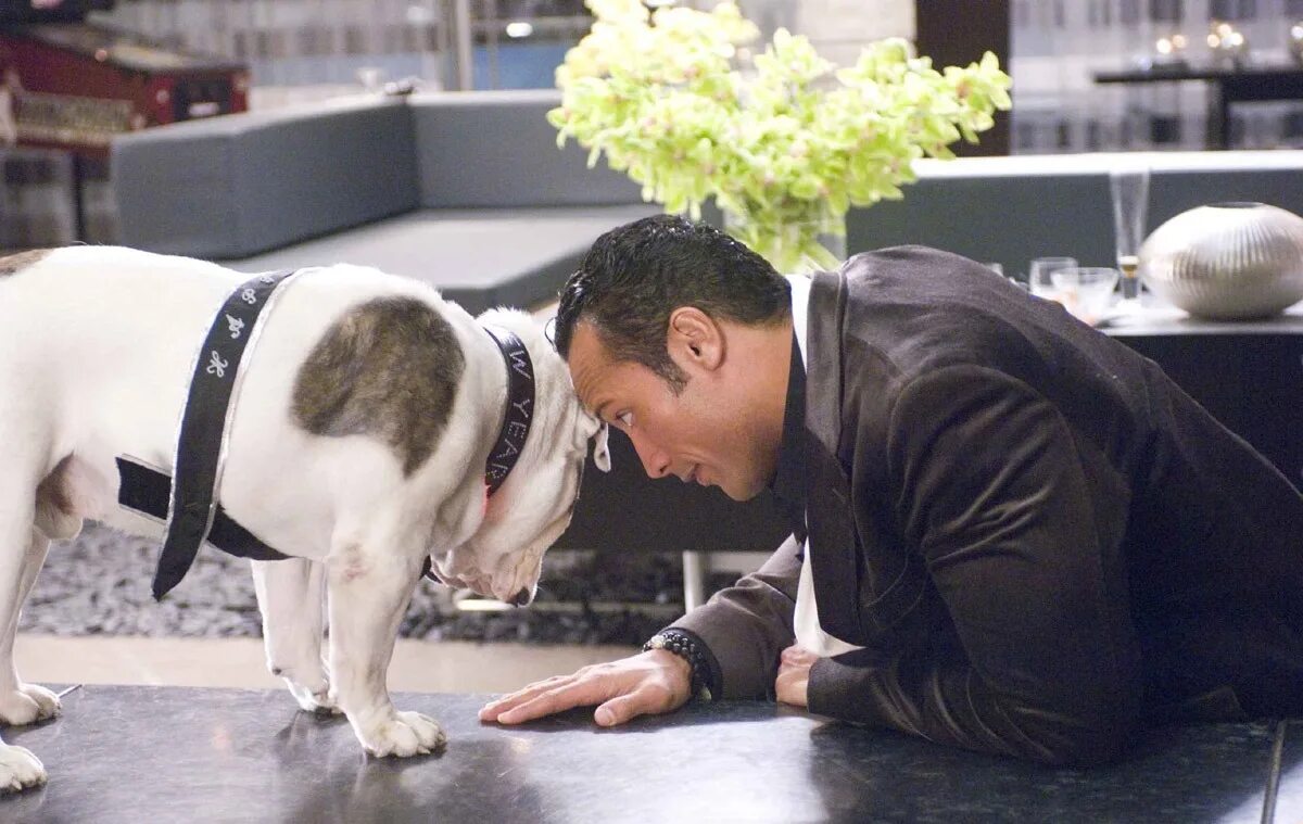 дуэйн джонсон 2007. комедия план игры. план игры 2007. джо кингман. план игры джо кингман.