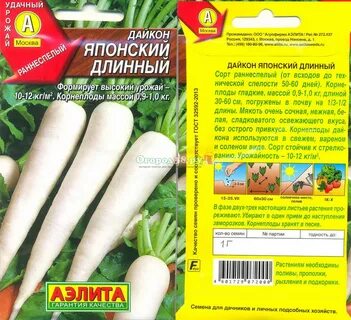 Дайкон посадка и уход сроки посадки