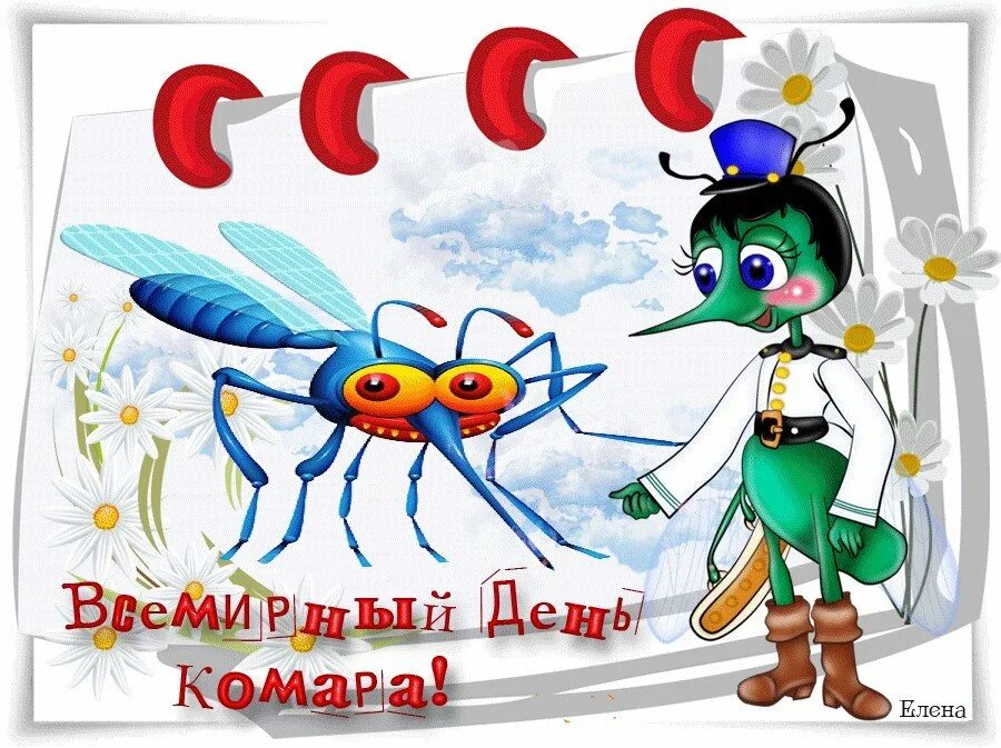 Всемирный день комара. День комара 20 августа. Поздравления с праздником комара. «Всемирным днем комаров». Дата 20 августа