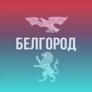 Наш белгород телеграм