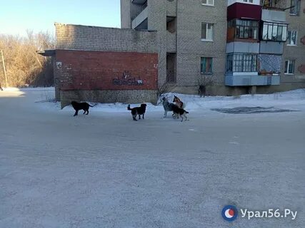 Помощь бездомным орск