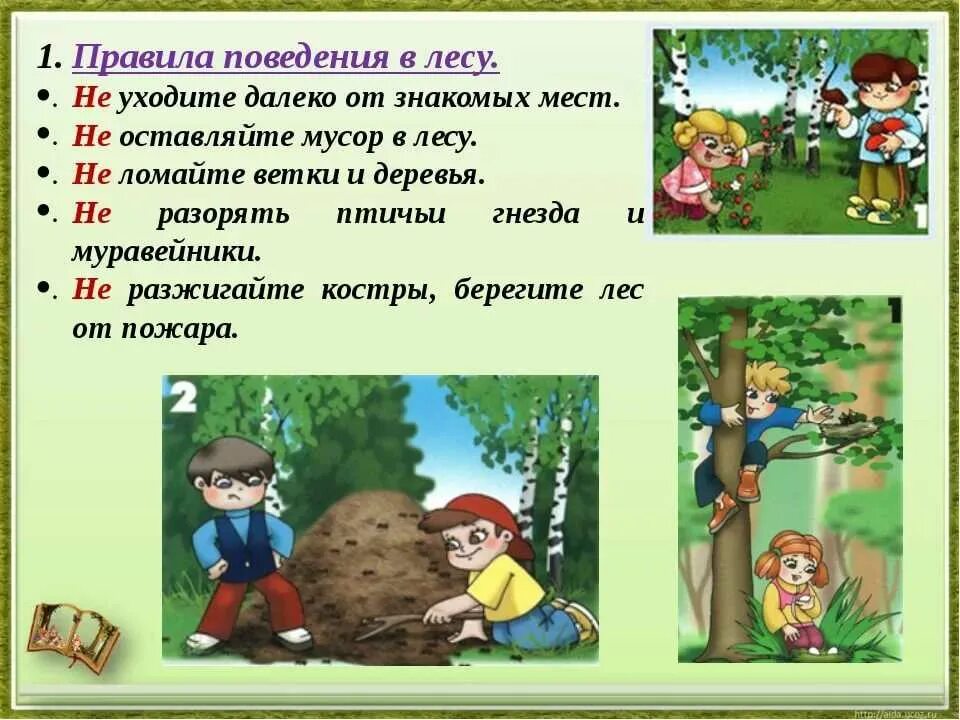 Видеоурок природа и наша безопасность 3 класс. Правила поведения в лесу. Правила поведения в Дему. Правила поведенив лесу. Поведение в лесу для детей.