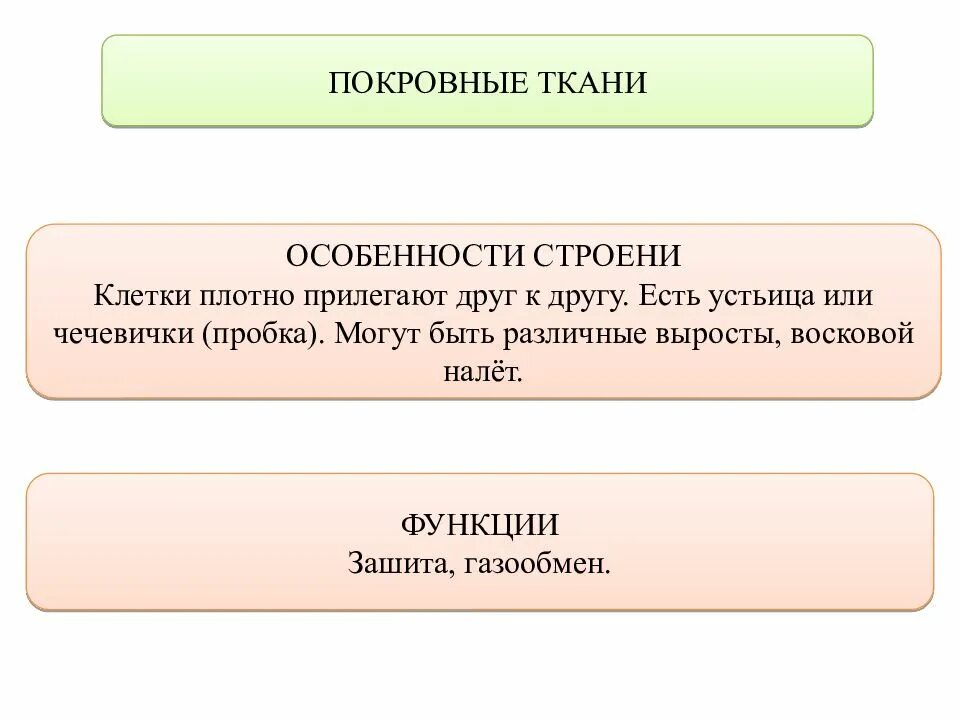 Ткани человека схема. Клетки плотно прилегают друг к другу. Расположение клеток относительно друг друга в нервной ткани. Клетки плотно прилегают друг к другу межклеточного вещества мало. Клетки плотно прилегают друг к другу какая ткань.