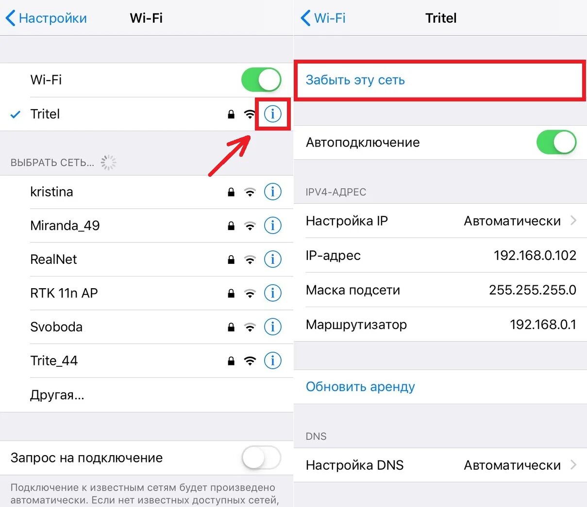 Как настроить вай фай на айфоне. Как настроить Wi Fi на айфоне. Как подключить вай фай на айфоне. Айфон выбор сети вай фай. Настройка вай фай айфоне