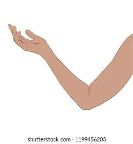 Arm part of body