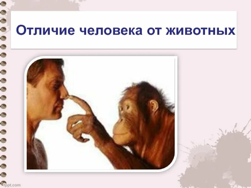 Человек в отличии от животного создает. Отличие человека от животных. что отличает человека от животного. отличие человека от людей. рисунок на тему чем человек отличается от животного.