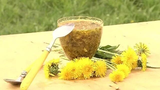Корень одуванчика. Лекарственные растения одуванчик лекарственный. Одуванчик лекарственный в медицине. Одуванчик лекарственный применяется для. Характеристика одуванчика.