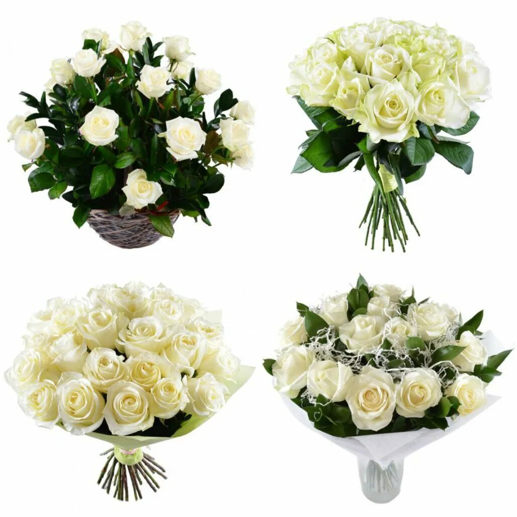 Букет из белых роз видео. 25 роз вайт наоми. Шикарный белый букет. Букетик "белые розы". Букет "аваланж".