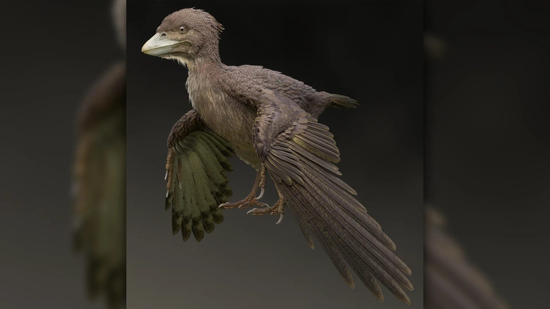 Древние птицы. Птица Археоптерикс. Первые птицы. Самая древняя птица.