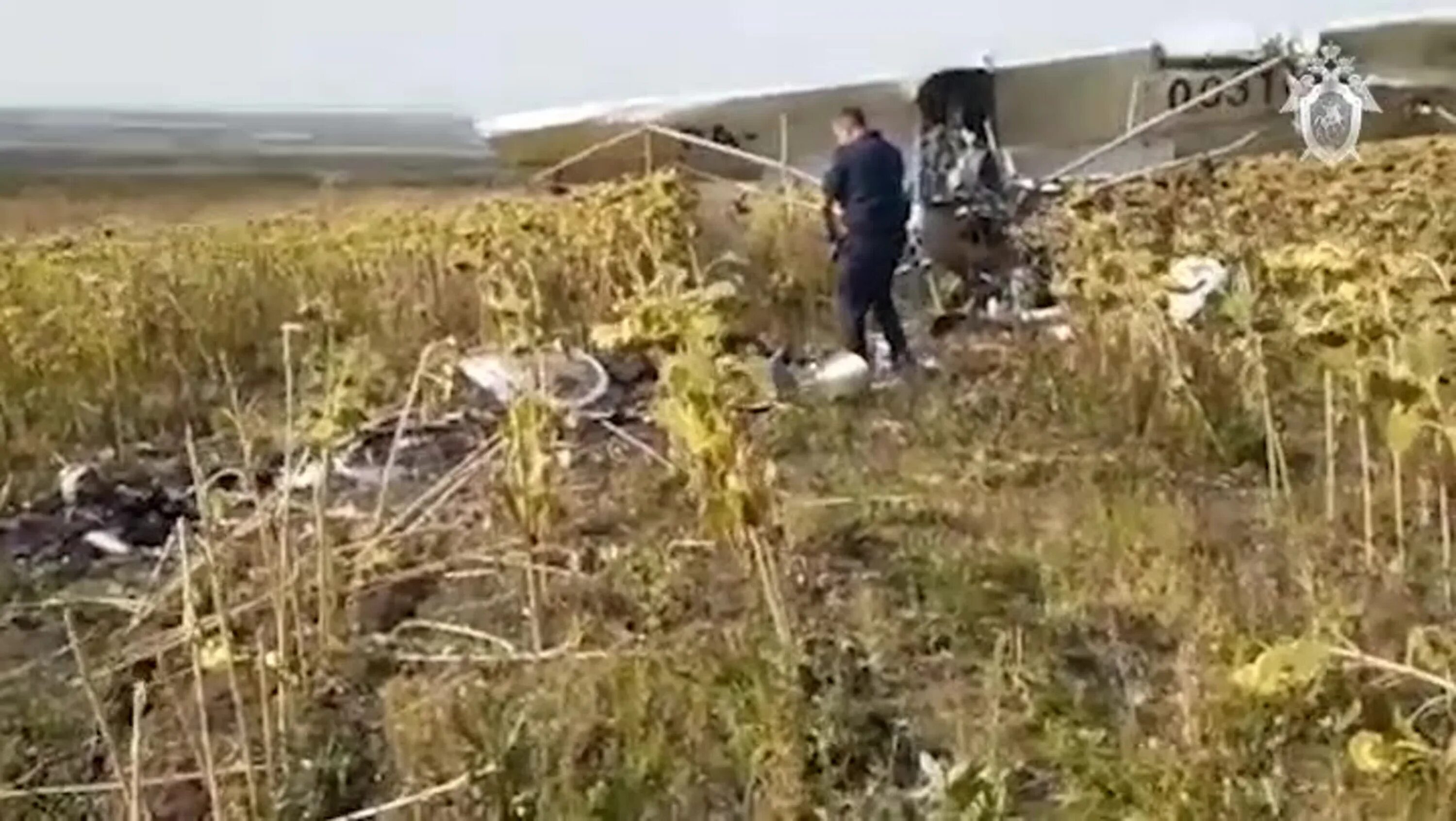 Падение легкомоторного самолета. Место падения самолета в Косулино. Авиационные происшествия и инциденты. Упал самолет сегодня в ивановской области