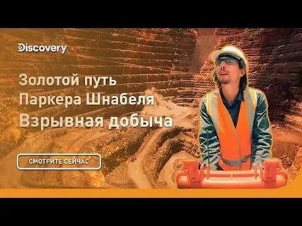 Золотой путь паркера шнабеля 2024