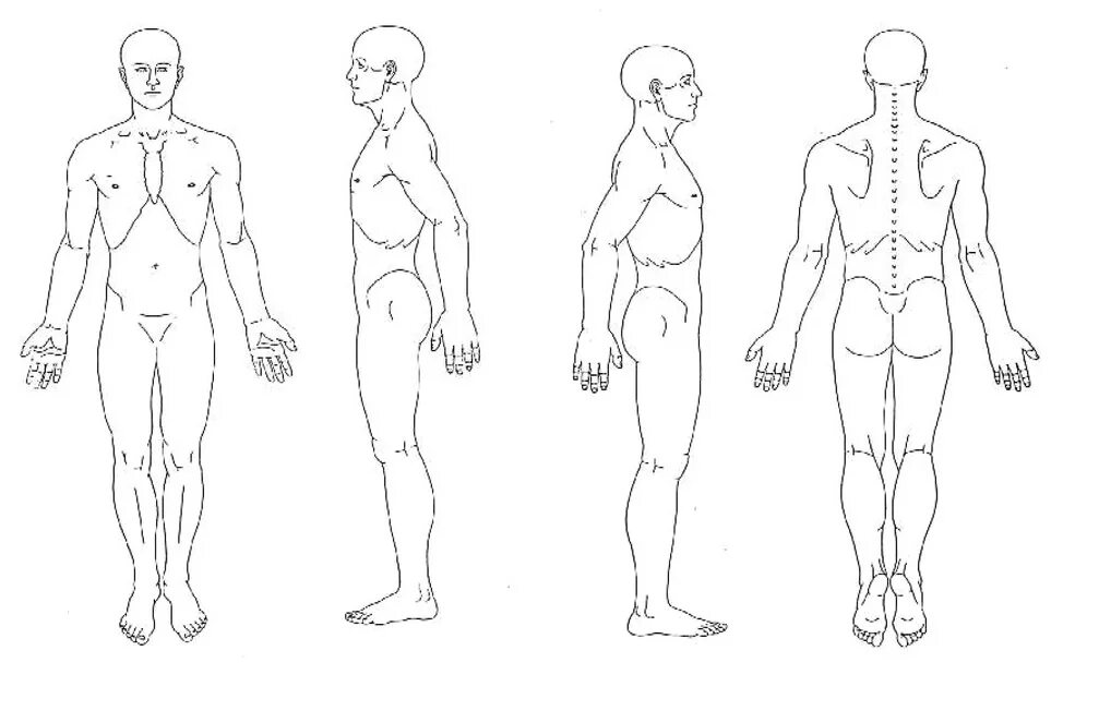 Схема человека. Контур тела человека спереди. Схема человека спереди и сзади. Контур человека спереди и сзади. Тело человека спереди сзади и сбоку.