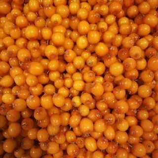 Облепиха свежемороженая