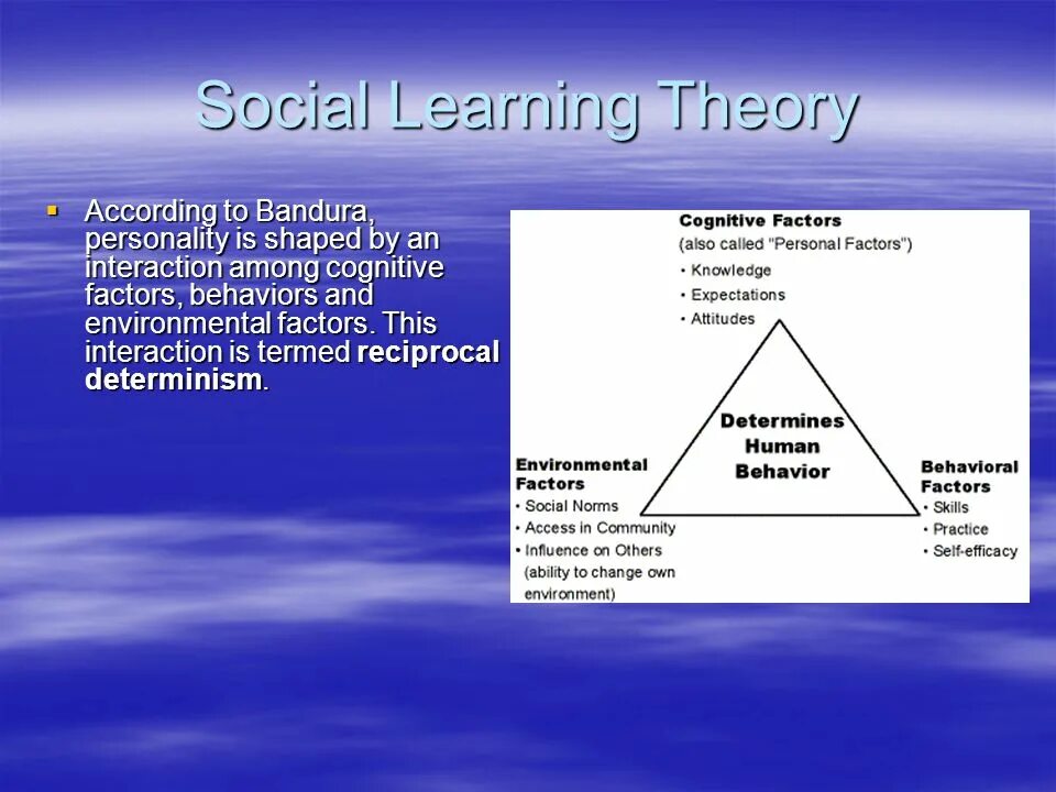 Learned societies. Social cognitive Theory Bandura. Bandura's social Learning Theory. Interaction Theory. Social cognitive Theory Bandura модель.