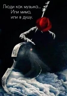 Не зная струн чужой души