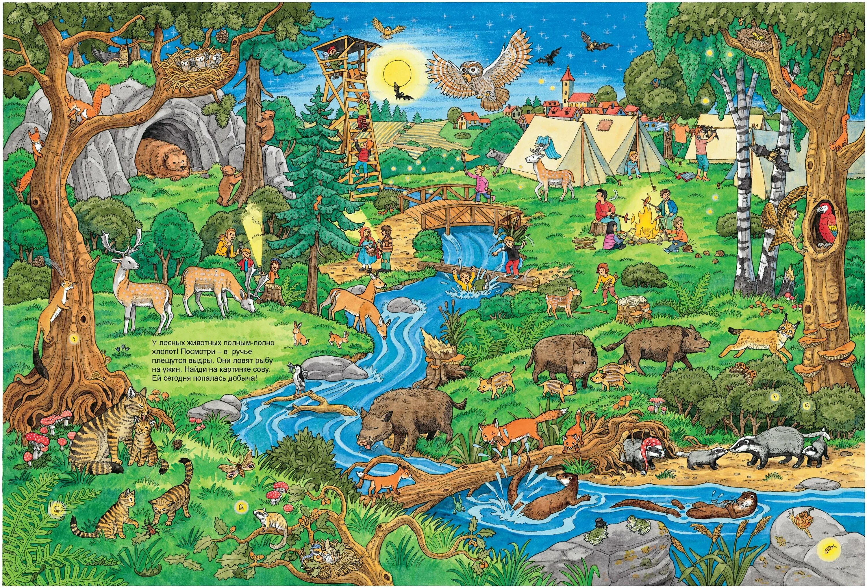 Виммельбух животные. Виммельбух зоопарк. Виммельбух. Виммельбух. Жизнь животных.