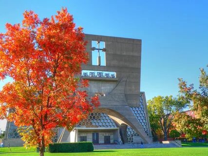 John university