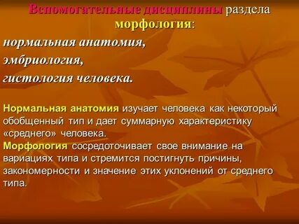 Морфология анатомия физиология систематика палеонтология