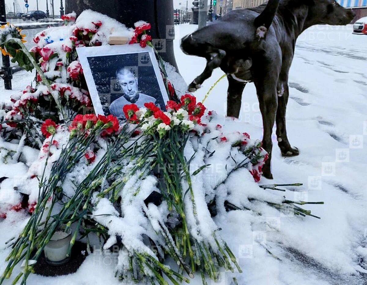 5 апреля 42. Прощание. Новости про собаку сегодня. Немцов собаке собачья смерть.