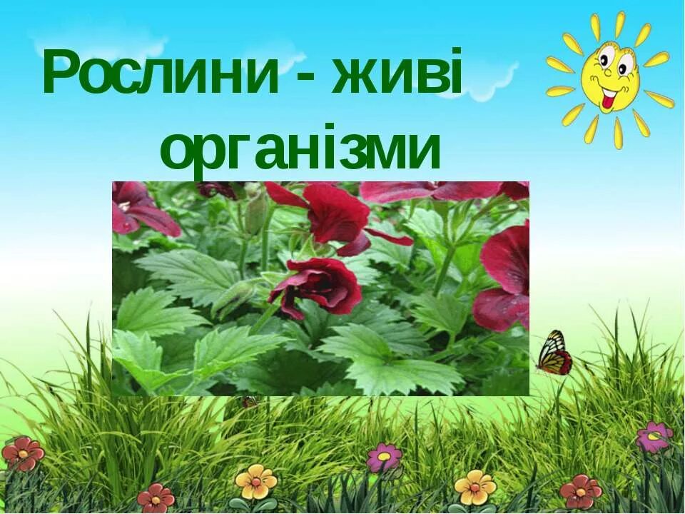 Ознаки живого організму. Трутовик це наземно повітряне. Набор живая природа. Живі організми. Живі організми.