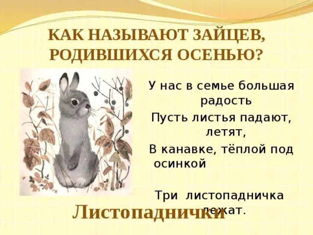 Энциклопедия про листопадничков. Листопадничек соколов-микитов. микитов листопадничек. листопадничек заяц энциклопедия.