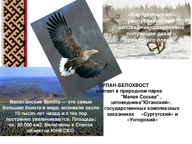 Сохранение заповедников