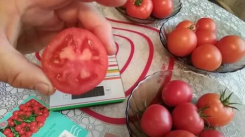 Томаты марьина
