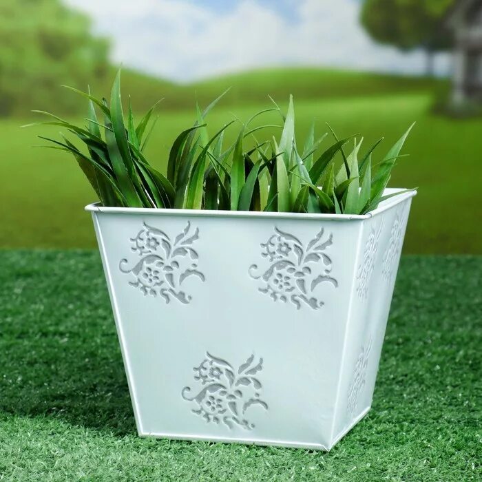 Петуния и ипомея. Кашпо микс. Вербена биденс лобелия. Немезиявербена алисум. Икеа гиацинт в горшке.