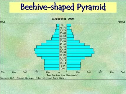Population pyramid