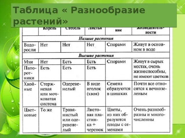 Разнообразие растений - начальные классы, презентации