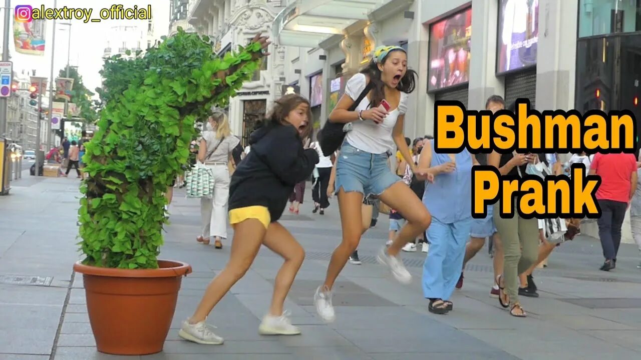 Бушмен пранк новые выпуски 2024. Самые крутые розыгрыши. Tree prank. Бушмен пранк новые выпуски 2024. Bushman prank: scaring everyone #2.