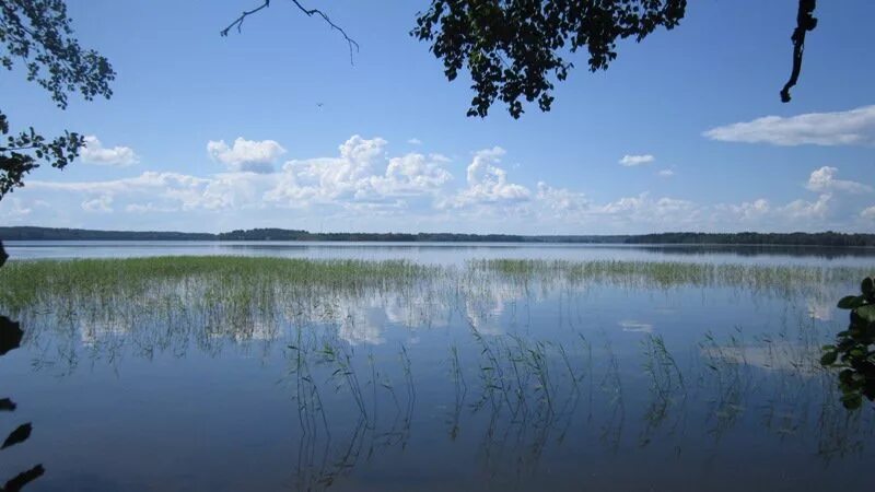 Озеро отрадное приозерский. Отрадное (Приозерский район). Отрадное пляж Приозерск. Озеро Судаковское Приозерский.