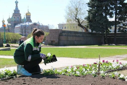 Красивые скверы. Садово парковое центральное. Садово парковое центральное. Цветы в александровском саду. Тайницкий сад цветы.