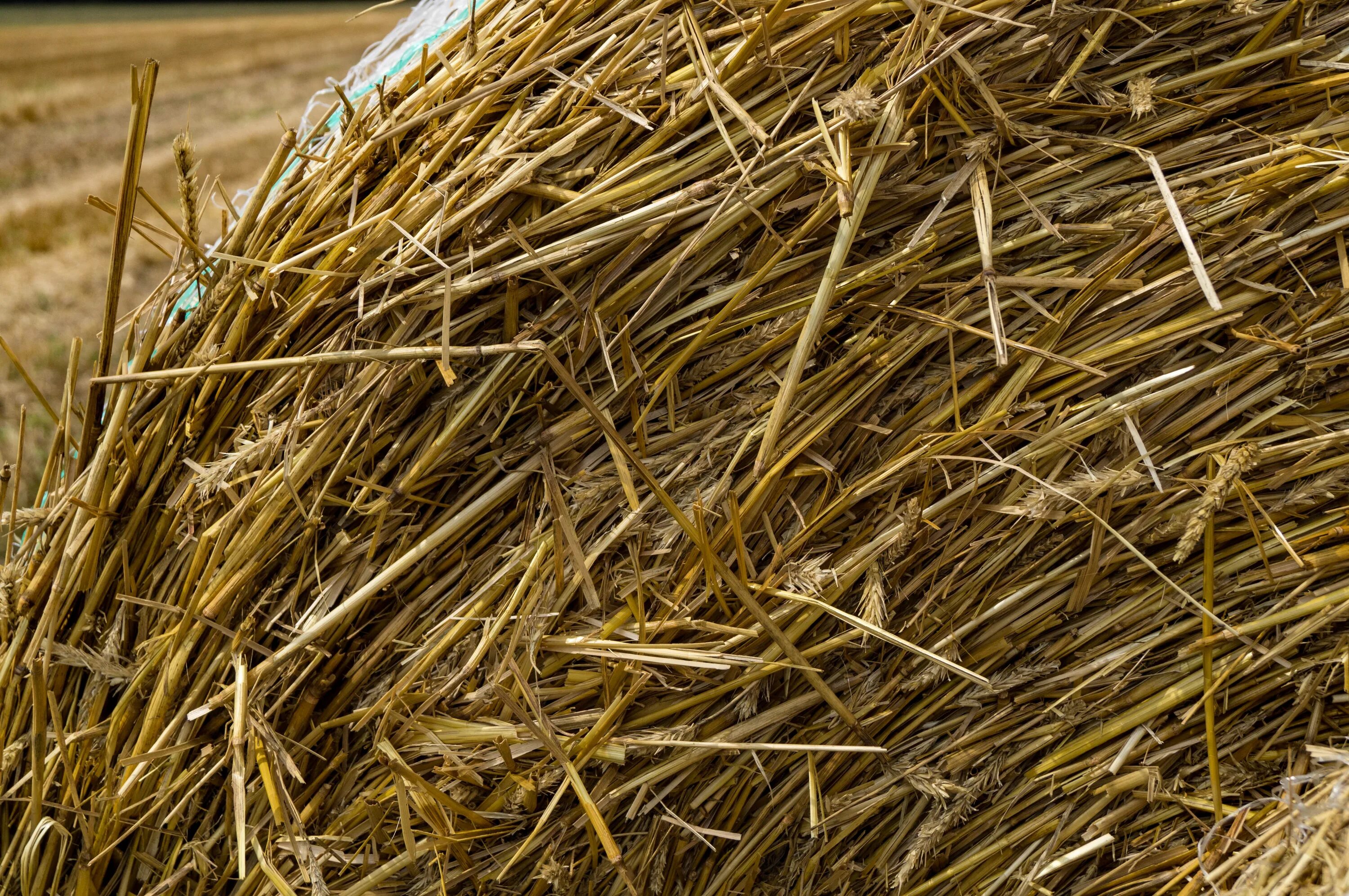 Straw