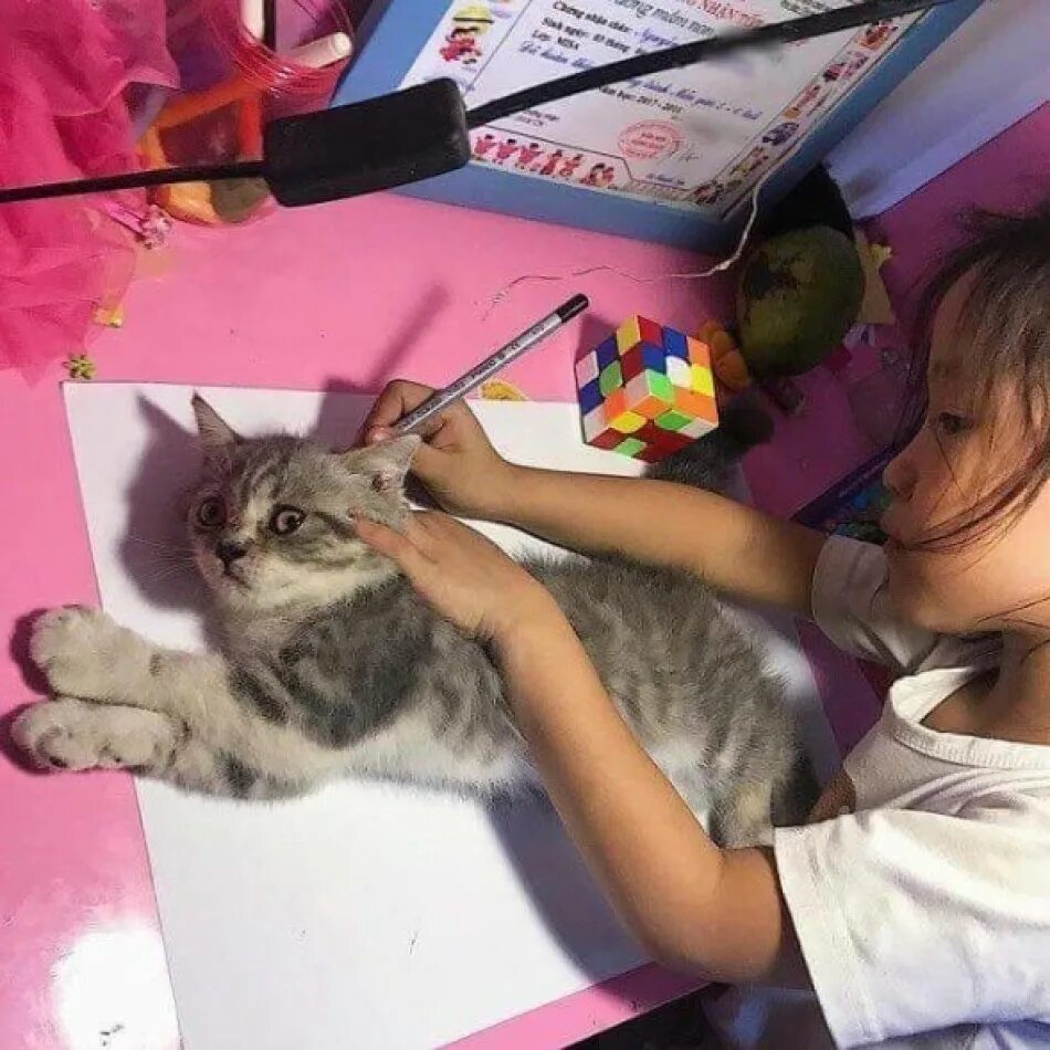 Девочка с котятами. Девушка с котенком. Девочка рисует кота. Девочка рисует кота. Robert papp художник кошки.